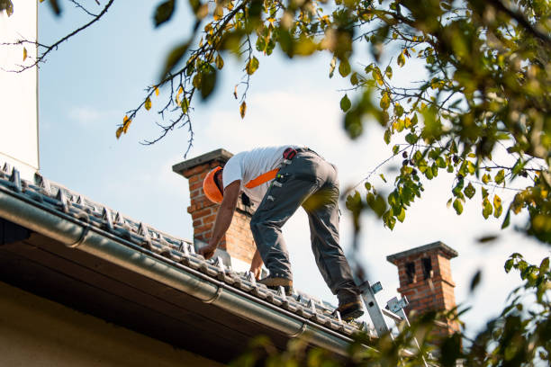 Best New Roof Installation  in Campbell, MO