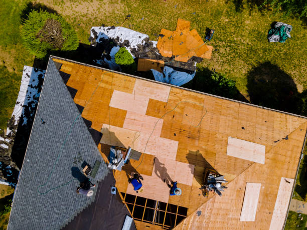 Best Roof Gutter Cleaning  in Campbell, MO