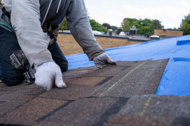 Best Emergency Roof Repair  in Campbell, MO