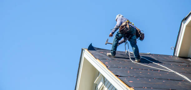 Best Roof Maintenance Services  in Campbell, MO